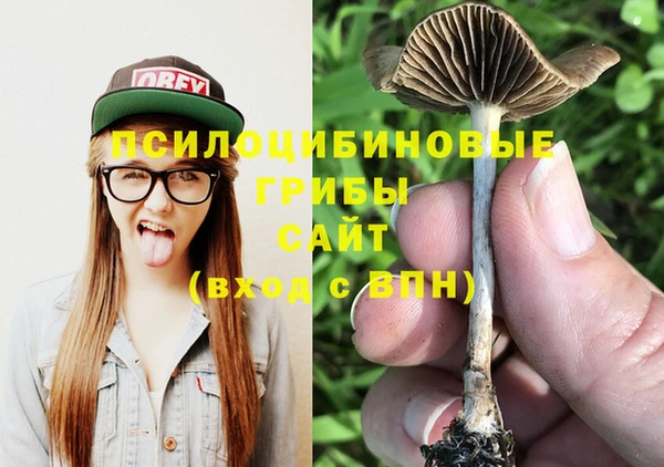 бошки Алзамай