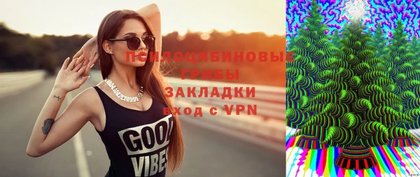 бошки Алзамай
