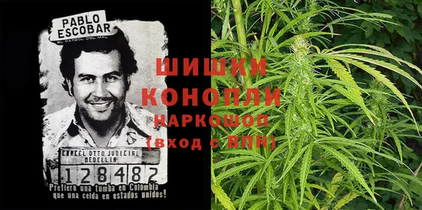 PSILOCYBIN Алексеевка