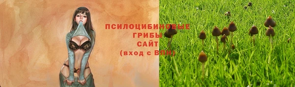 индика Пересвет